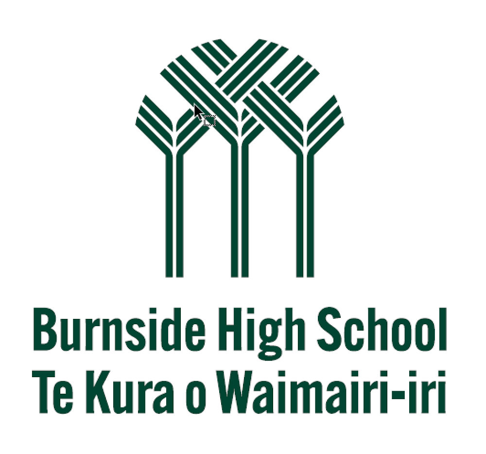 Burnside High School
